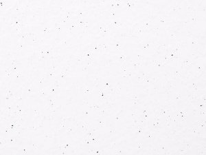 Глазурованная керамическая плитка Terranit ES White Snow ES4220