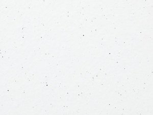 Матовая глазурованная керамическая плитка Terranit ES White Snow EM2220