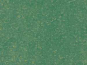 Глянцевая глазурованная керамическая плитка Terranit ES Green EB3495