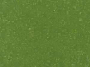 Глянцевая глазурованная керамическая плитка Terranit ES Green EB3480
