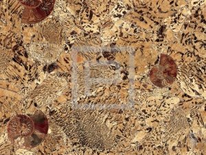 Крупноформатные панели Дюрамика с поверхностью из полудрагоценного камня Септария (Septaria)