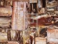 Peterstone Petrified Wood Multycolor Deep