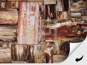 Крупноформатные панели Дюрамика с поверхностью из окаменелого дерева Petrified Wood Multycolor Deep
