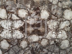 Крупноформатные панели Дюрамика с поверхностью из окаменелого дерева Petrified Wood Grey